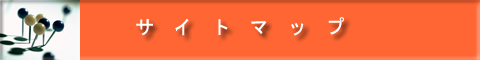 サイトマップ
